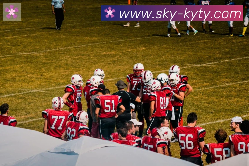 App Interface Preview